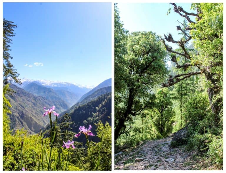 Sainj Valley Trek & Pundrik Lake- Beauty in the Ordinary - Framing ...